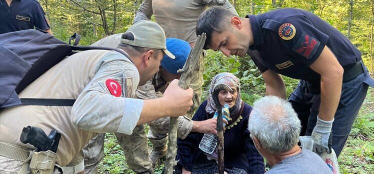 Sinop'ta mantar toplarken kaybolan kadın ormanda bulundu