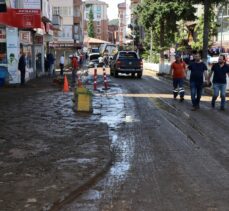 Taşkın ve heyelan meydana gelen Araklı'da temizlik çalışmaları sürüyor