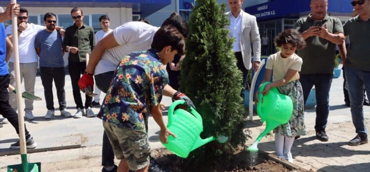 TEDAŞ çalışanları, '30. Yıl Hatıra Ormanı' projesiyle 7 ilde fidan dikti