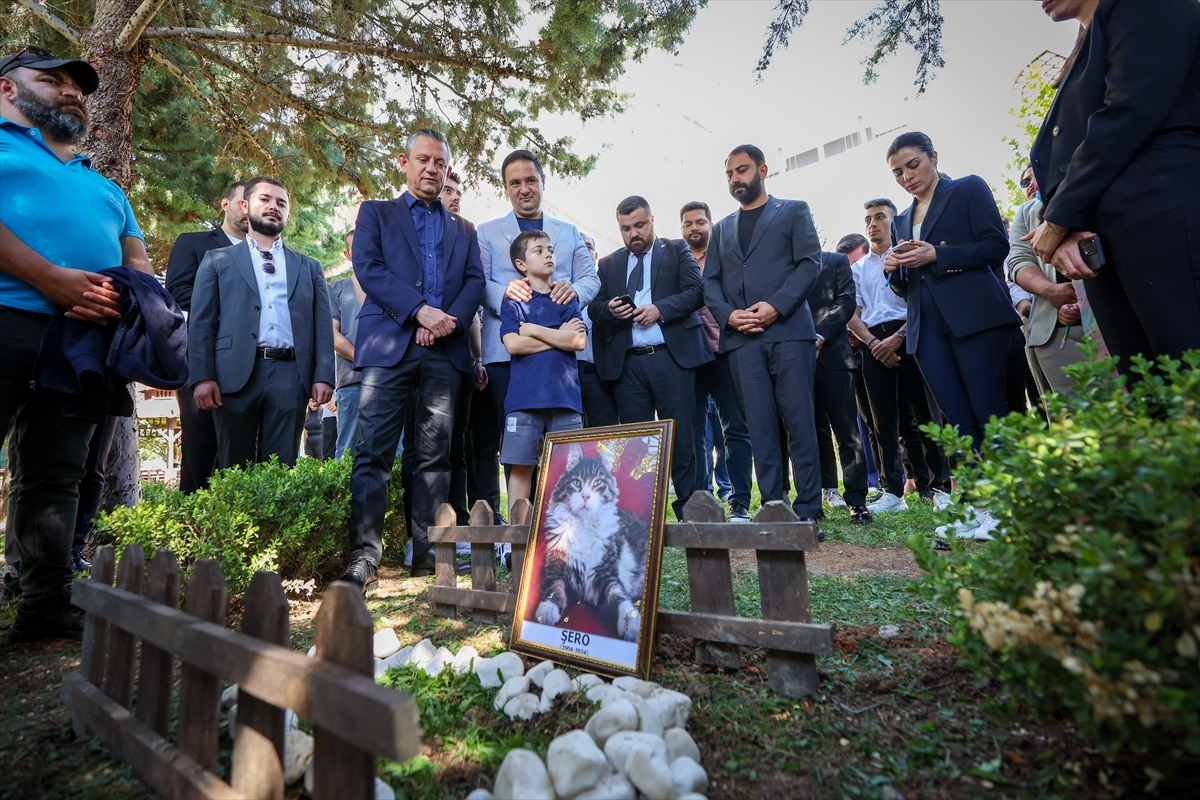 Tedavi gördüğü klinikte ölen kedi Şero, CHP Genel Merkezi'nin bahçesine gömüldü