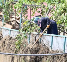 Trabzon'da taşkın ve heyelan meydana gelen ilçelerde temizlik çalışmaları sürüyor