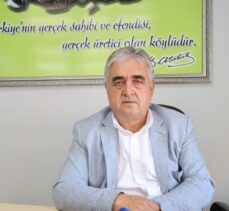 Trakya'da aşırı sıcak ve kuraklık, ayçiçeğinde verimi düşürdü