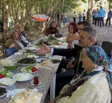 Tunceli'de valilik yaşlıları doktor kontrolünde evlerinden alıp doğayla buluşturuyor