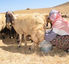 Yüksekova'da berivanlar yaptıkları ürünleri satarak aile bütçelerine katkıda bulunuyor