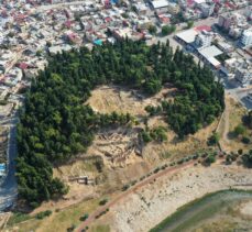 Yumuktepe Höyüğü'nde 9 bin yıllık geçmişe sahip iki buğday türü tespit edildi