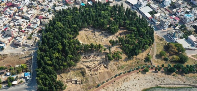 Yumuktepe Höyüğü'nde 9 bin yıllık geçmişe sahip iki buğday türü tespit edildi