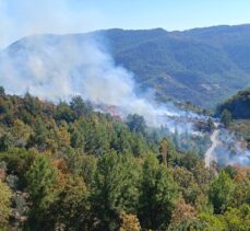 Alanya'da zirai alanda çıkan yangın kontrol altına alındı