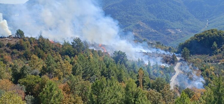 Alanya'da zirai alanda çıkan yangın kontrol altına alındı