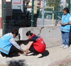 Amasya'da sokakları gezen öğrenciler kedi ve köpekler için mama ve su bıraktı