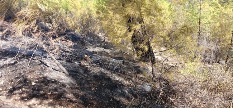 Antalya'daki orman yangını yaklaşık 2 hektarlık alan ve eve zarar verdi