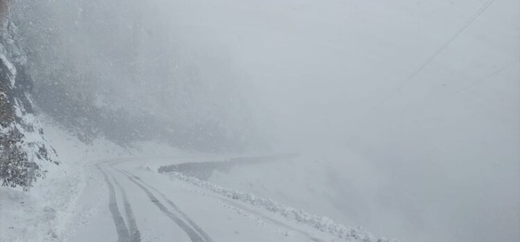 Artvin'de kardan kapanan köy yolları ulaşıma açıldı