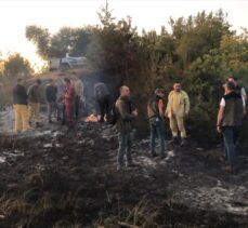 Aydın'da ormanlık ve zeytinlik alanda çıkan yangın kontrol altına alındı