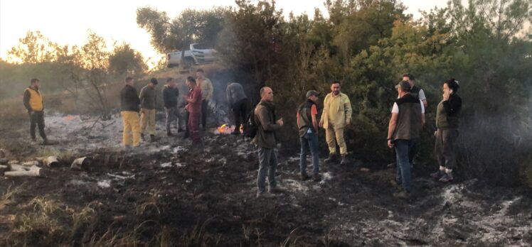 Aydın'da ormanlık ve zeytinlik alanda çıkan yangın kontrol altına alındı