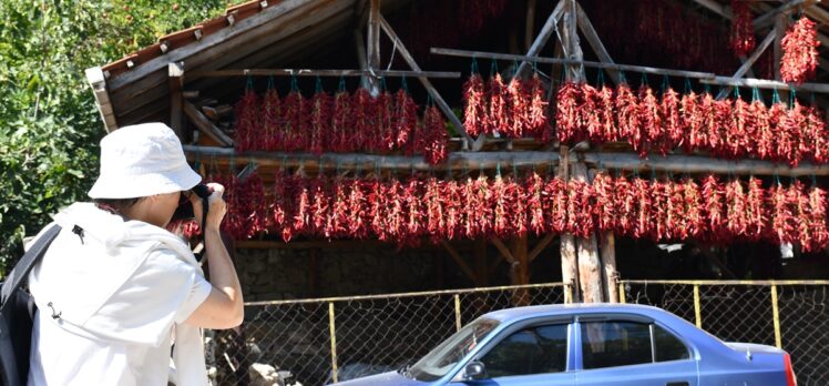 Bilecik'in tescilli biberinin kurutulduğu köy fotoğrafçıları ağırlıyor