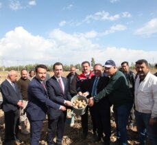 Bitlis Valisi Karakaya, patates hasadına katıldı