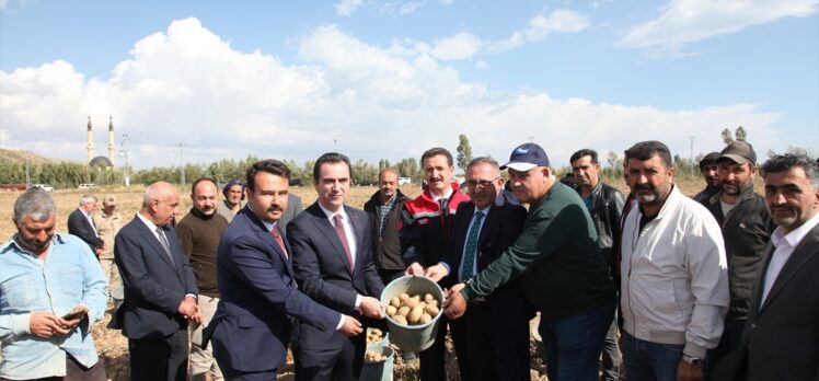 Bitlis Valisi Karakaya, patates hasadına katıldı