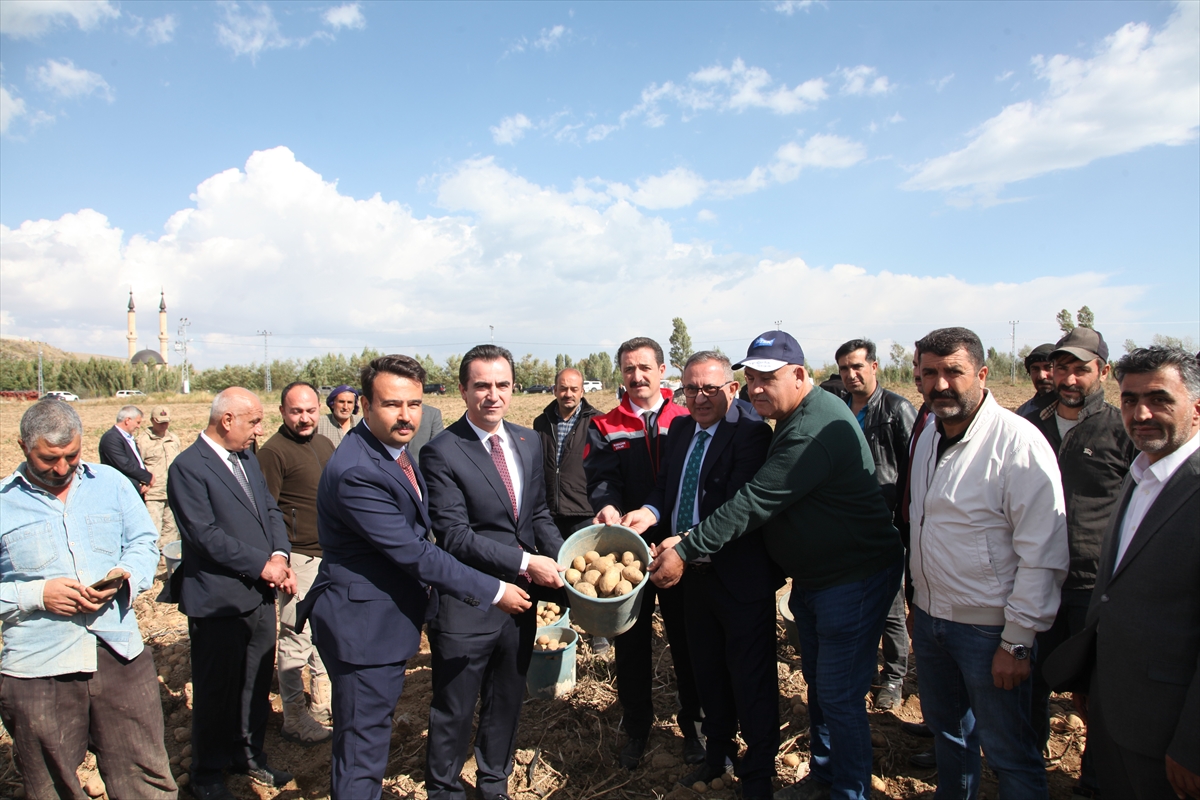 Bitlis Valisi Karakaya, patates hasadına katıldı