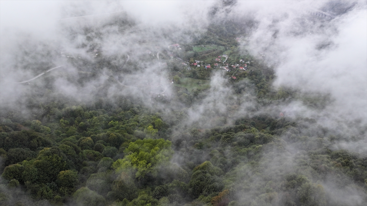 Bolu Dağı'nın Düzce kesiminde sis, Bolu'nun yüksek kesimlerinde kar etkili oldu