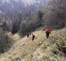 Bolu'da yaylada kaybolan yaşlı çift aranıyor