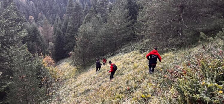 Bolu'da yaylada kaybolan yaşlı çift aranıyor