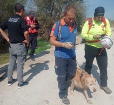 Bursa'da kaybolan 68 yaşındaki kişi bir haftadır aranıyor