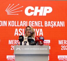 CHP'nin kadına yönelik şiddet ve sosyal politikalara ilişkin çalıştayı Mersin'de başladı