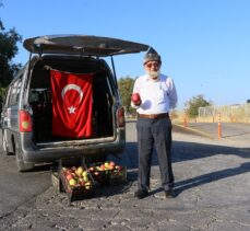 “Elmacı dede” bahçesinde yetiştirdiği elmaları İzmir'deki Mehmetçik için getirdi