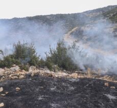 Gaziantep'te ormanlık alanda çıkan yangına müdahale ediliyor