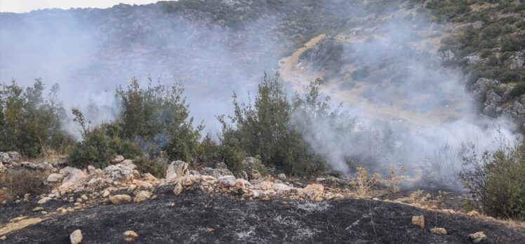 Gaziantep'te ormanlık alanda çıkan yangına müdahale ediliyor