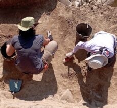 Gökçeada'da tarım ve hayvancılığa dayalı yerleşimin geçmişi 8 bin 800 yıl öncesine dayanıyor