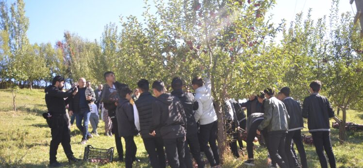 Hakkari'de tarım öğrencileri elma hasadı yaptı