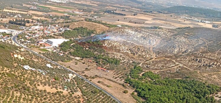 İzmir Foça'da ormanlık alanda yangın çıktı