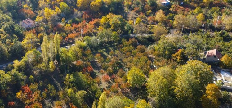 İzmir'de Ovacık Yaylası'ndaki doğa güzellikleri hazan renkleriyle görüntülendi