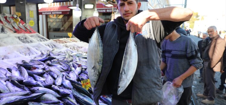 Karadeniz'de yağlanan ve büyüyen palamut yüz güldürdü