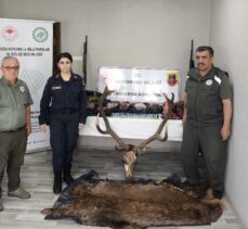 Kastamonu'da yakalanan avcıların evinde geyik eti ve bu etten yapılan sucuk ele geçirildi