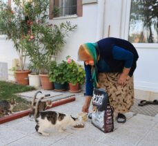 Kayseri'de yaşlı kadının bahçesinde beslediği kediler için mama talebi yerine getirildi