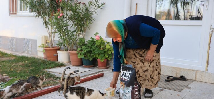 Kayseri'de yaşlı kadının bahçesinde beslediği kediler için mama talebi yerine getirildi