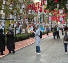 Kocaeli'de asırlık çınar ağaçları kitaplarla renklendi