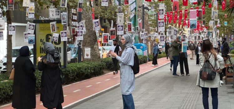 Kocaeli'de asırlık çınar ağaçları kitaplarla renklendi