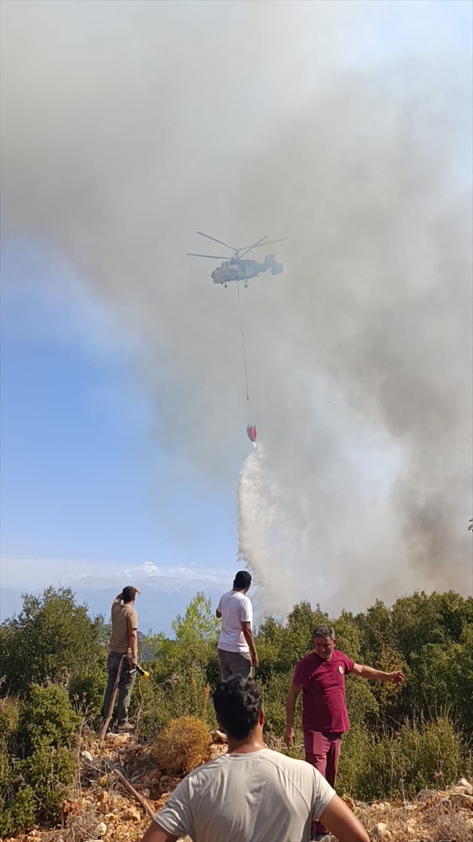 Muğla'da çıkan yangında 2 hektar makilik ve tarım alanı zarar gördü