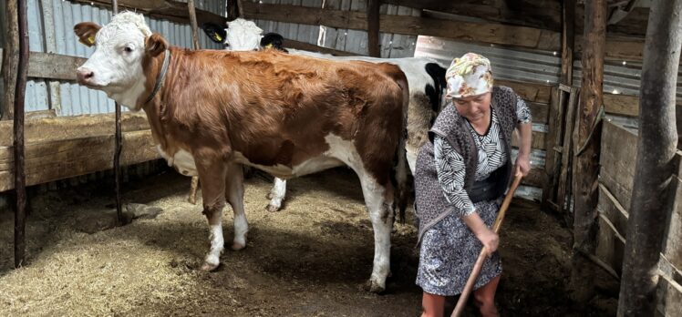 Obada 40 yıldır besicilik yaparak ailesinin geçimini sağlıyor