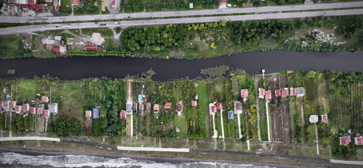 Samsun'daki “Miliç Lagünü” doğal güzellikleri ve biyolojik çeşitliliğiyle dikkati çekiyor