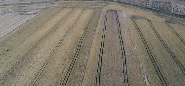 TZOB Genel Başkanı Bayraktar, Çanakkale'de sağanak ve doludan etkilenen tarım arazilerini inceledi