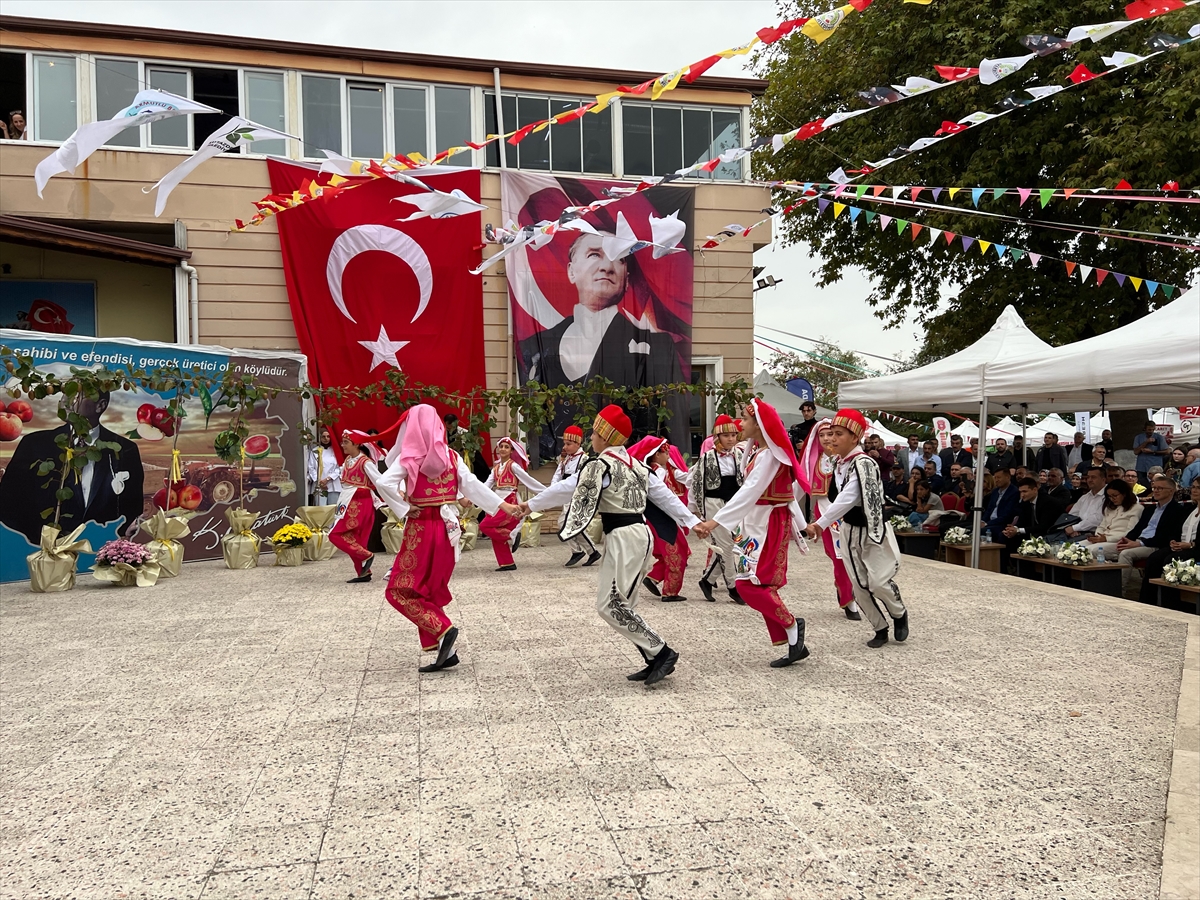 Yalova'da 11. Subaşı Kivi Festivali düzenlendi