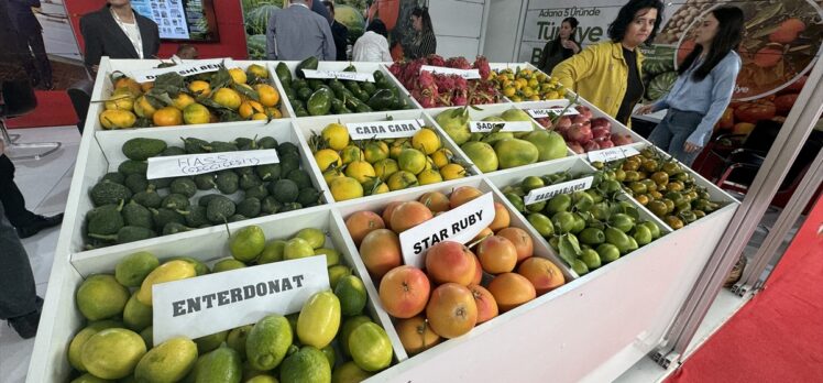 Adana'daki Uluslararası Tarım ve Sera-Bahçe Fuarı devam ediyor