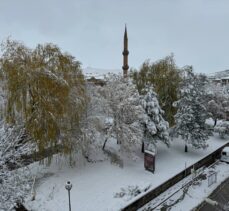 Aksaray'da kar yağışı