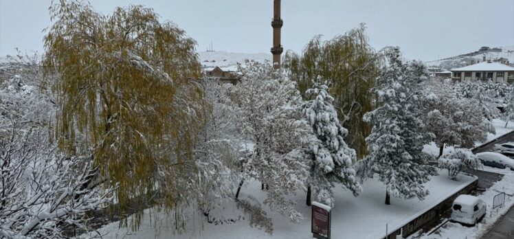 Aksaray'da kar yağışı