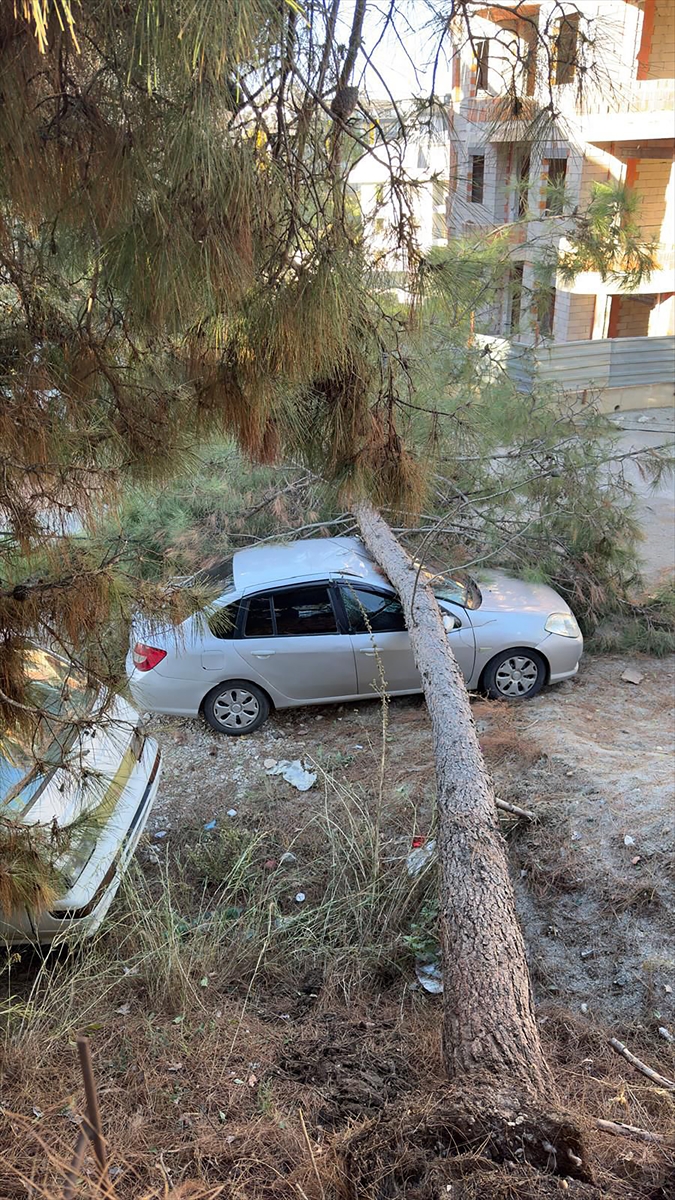 Alanya'da fırtına ev ve seralara zarar verdi