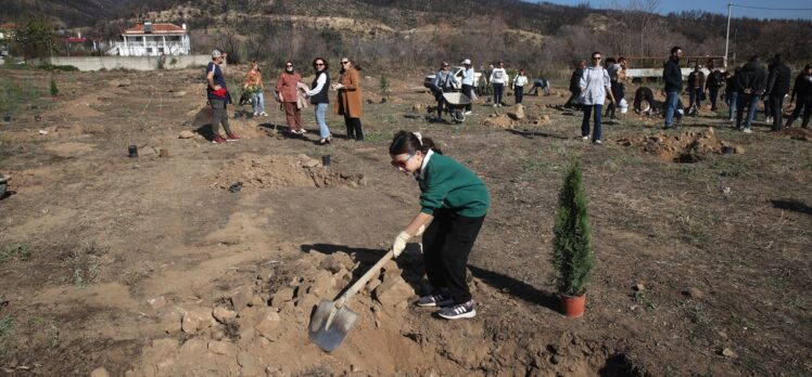 Batı Trakya Türkleri, yangınlardan etkilenen bölgelere fidan dikiyor