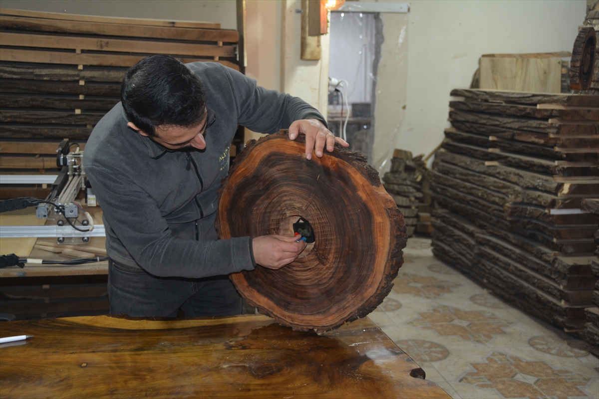 Bitlisli kardeşler, ceviz ağacını sanat eserine dönüştürüyor